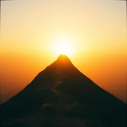 Rise Above