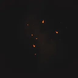 Born To Burn alone