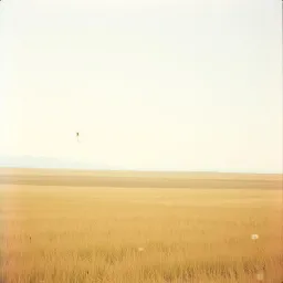 Blowin in the wind
