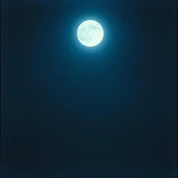 Whisper in the Night