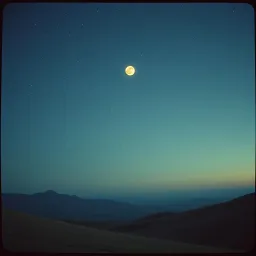 Moonlit Promises