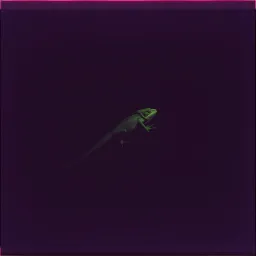 Fading Shadows in the Night