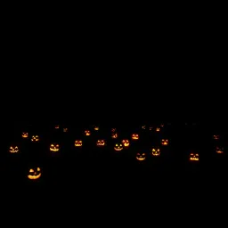 Trick or Treat