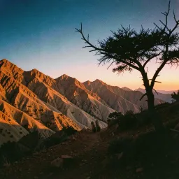 Climb Like This
