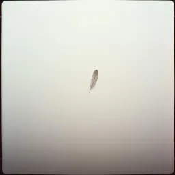 Weightless