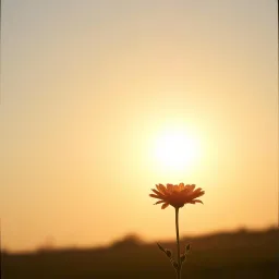 The Unfolding Light