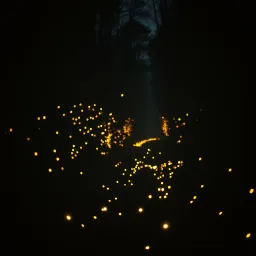 Ignite the Flames