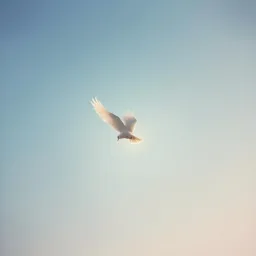 Worship music, female voice, spiritual