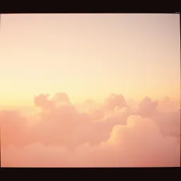 Velvet Dawn