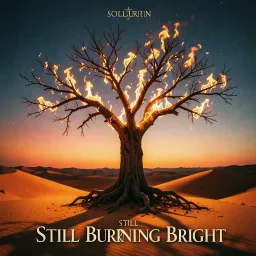 Still Burning Bright