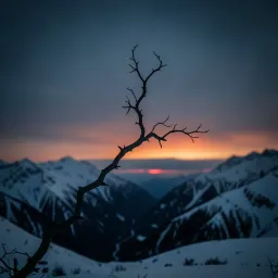 Headspace Silence