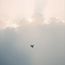 My Hope in You