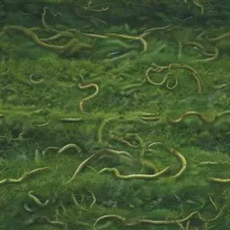 Snakes 