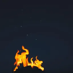 Mi fé arde