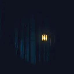 The light in the shadows