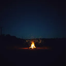 ON A COUNTRY ROAD