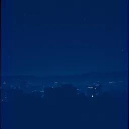 Moonlit Whispers