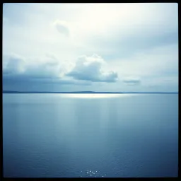 Echoes in Grey