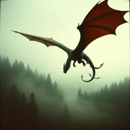 Moster hunter freedom unit 