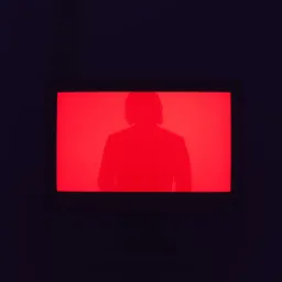 Ghost in the Crowd