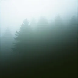 March of Shadows