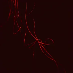 Code Rot