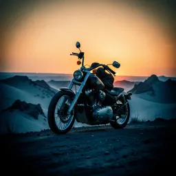 Dark Horizon Run