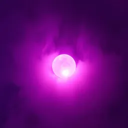 Touch