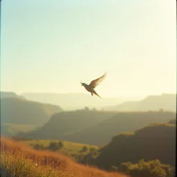 Mercy in Your Eyes
