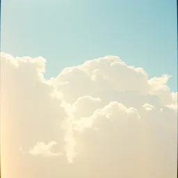 좋은 맑은 날