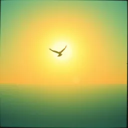 Wings Unbound