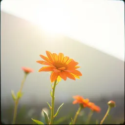 Choose to Be Happy