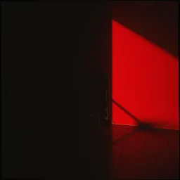 Toxic Shadows