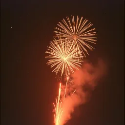 Angel in the Fireworks