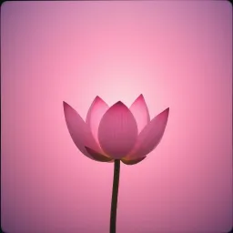 Meta (love) body mediation