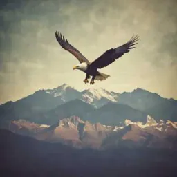Dreams never fade