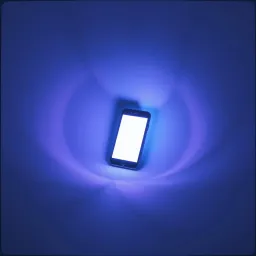 Digital Game of Hide and Seek