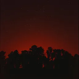 Blazing Trees