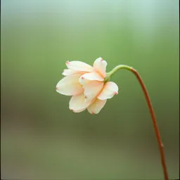 Bikhra Dil Ki Kahani