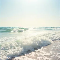 Summertime Freedom