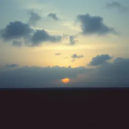 Sunless Days