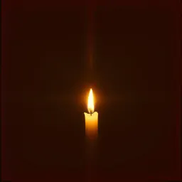 Shadows in the Flame