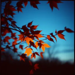Falling for You