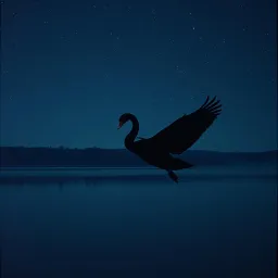 BlAck SwAn