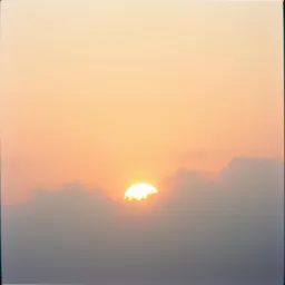 Almost in the sun