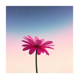 Coisa linda