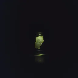 Shadows of the Night