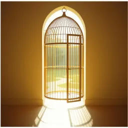 The Gilded Cage