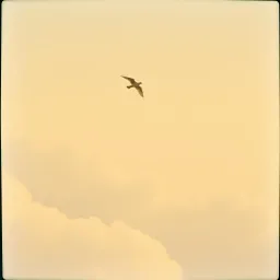 I just glide