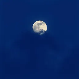 Fuiste tu